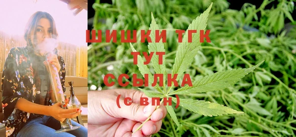 ГАЛЛЮЦИНОГЕННЫЕ ГРИБЫ Вяземский