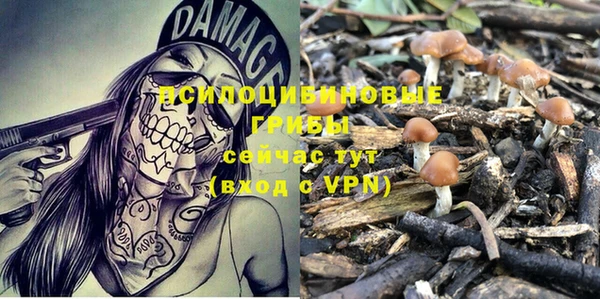 дмт Вязники