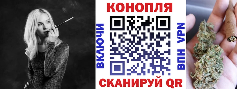 Конопля сатива  продажа наркотиков  Зеленокумск 